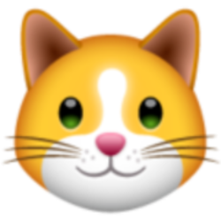 KittenFinance Logo