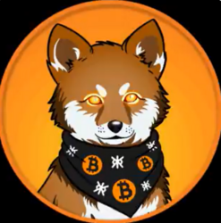 LOBO•THE•WOLF•PUP Logo