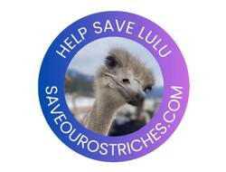 Lulu the Ostrich Logo