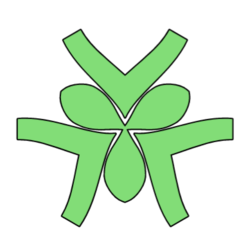 Lung Protocol Logo