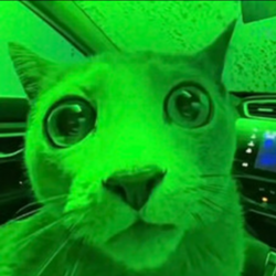 Market Cat Logo