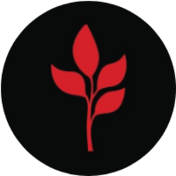 MarsMi Logo