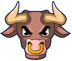 Matador Token Logo