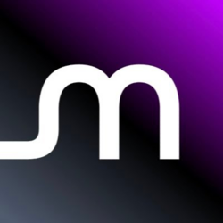 Micron Technology (Backpack Securities) Logo