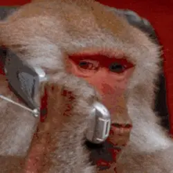 Monke Phone Logo