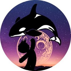 MoonWilly Logo