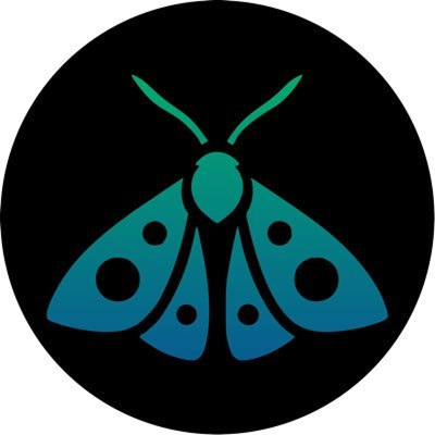 Moth Finance Logo