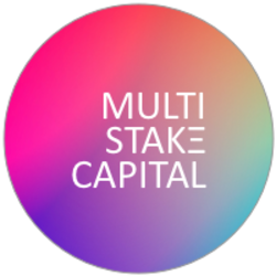 Multi-Stake Capital Logo