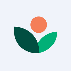 Nakamoto rStock Logo