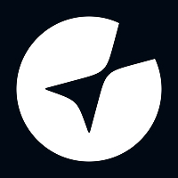 Nemo Floating Assets Logo