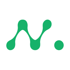 Netmind XYZ Logo