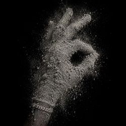 Never Sell Your Dust Logo