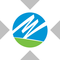 NextEra Energy xStock Logo