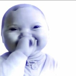 Niche Baby Logo