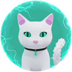 Logo Nocha the Kat