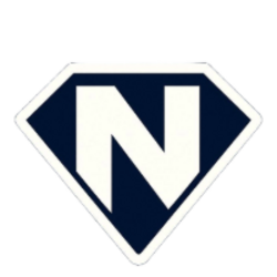 Logo Nova Fox