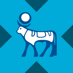 Novo Nordisk xStock Logo