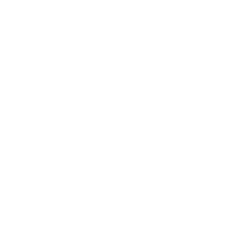 noya Logo