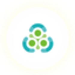 NSS Coin Logo