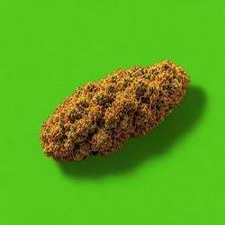 Nuggies Logo
