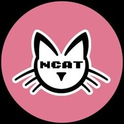 NCAT Token Logo