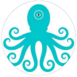 OctaPay Logo