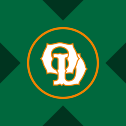 Old Dominion Freight Line xStock Logo
