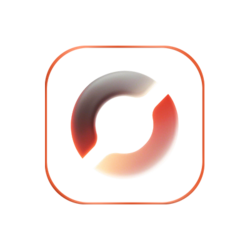 Oracle Finance Network Logo