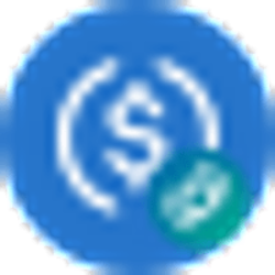 Orbit Bridge Klaytn USDC Logo
