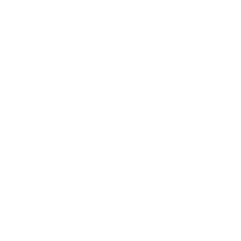 PAI3 Logo