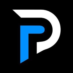 Palladium Network Logo