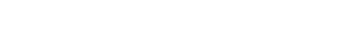 Paravox  Logo