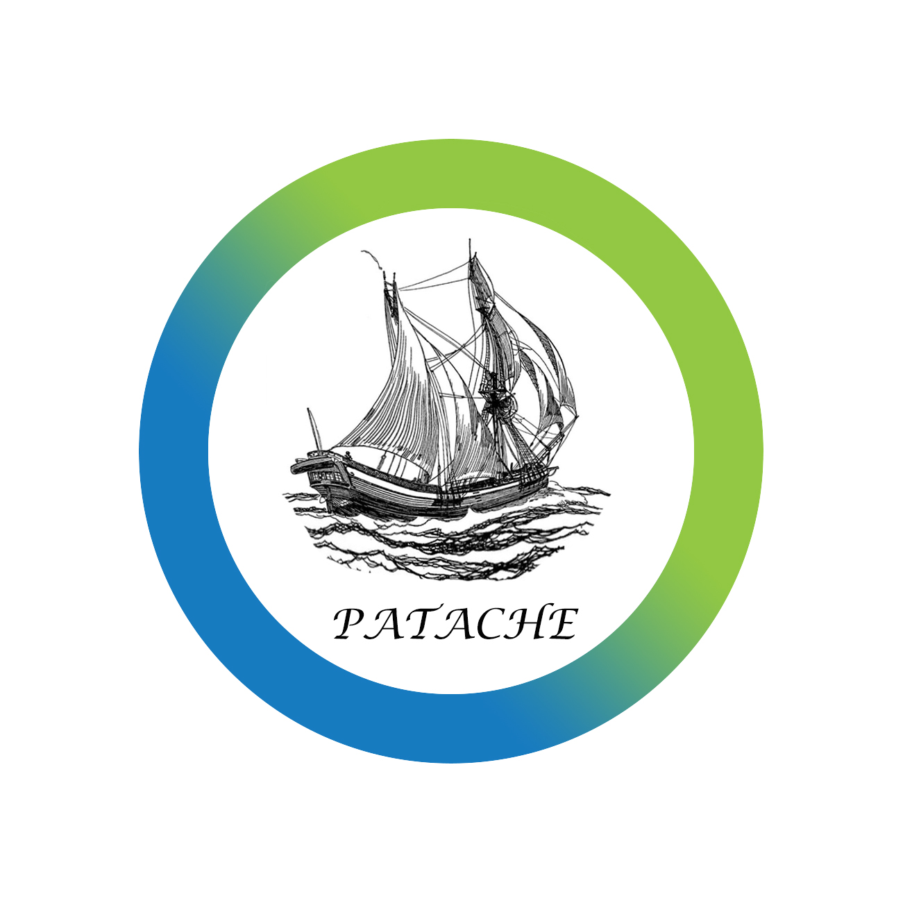 Patache Digital Logo