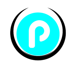 Payzus Logo