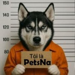 PetsNa Logo