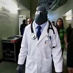 Pigeon Doctor Logo