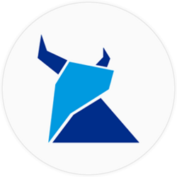 Pin Token Logo