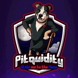 Pitquidity-BSC Logo