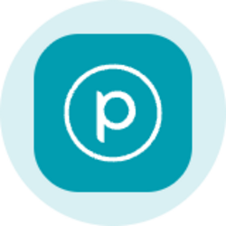 Planet Labs (Ondo Tokenized) Logo