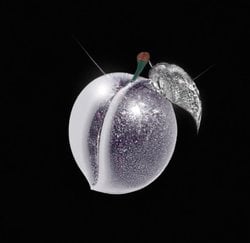 PLUMS Logo