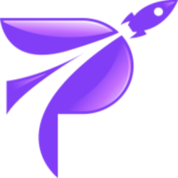 Plunge Logo