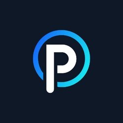PolyPort Logo