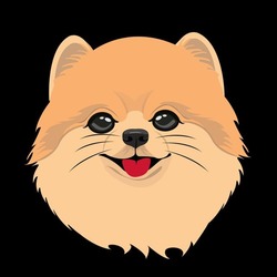 PomPom Logo