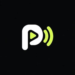 Logo Ponstream