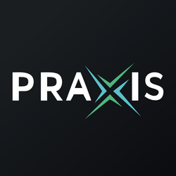 Praxis Precision Medicines, Inc. rStock Logo