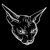 Proud Kitty Gang Logo