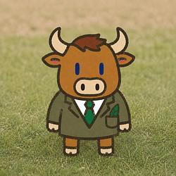 Pump the Bull Logo