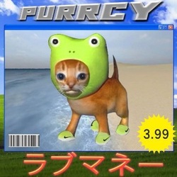 Purrcy Logo