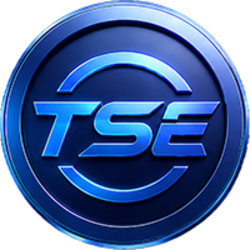 Quantum TSE Logo