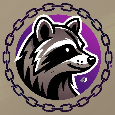 RaccoonSwap Logo
